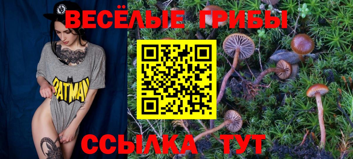 Клинцы  Псилоцибиновые грибы ЛСД  Вход с VPN 